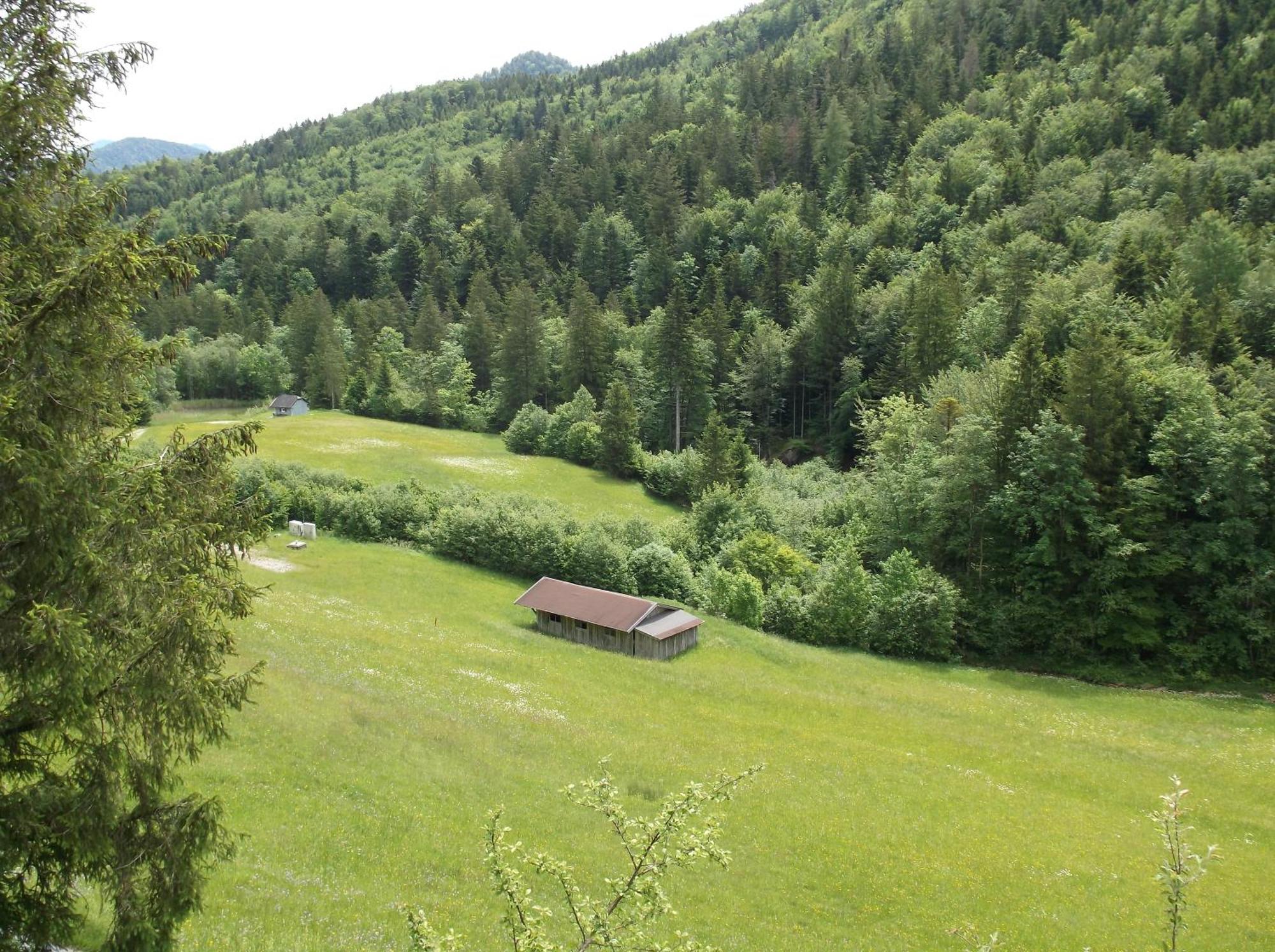 Kleine Einfache Ferienwohnung In Malerischer Umgebung Salzburgs Koppl Exterior photo